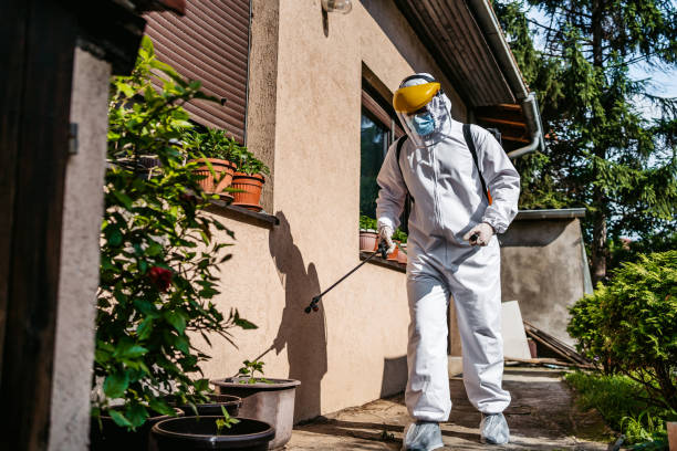 Best Pest Inspection Near Me  in Ojus, FL