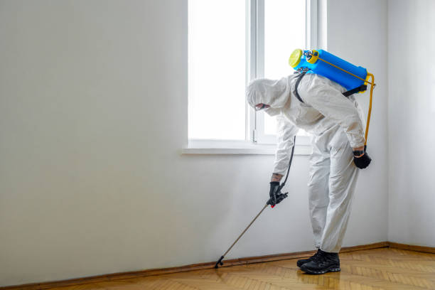 Best Affordable Pest Control Services  in Ojus, FL