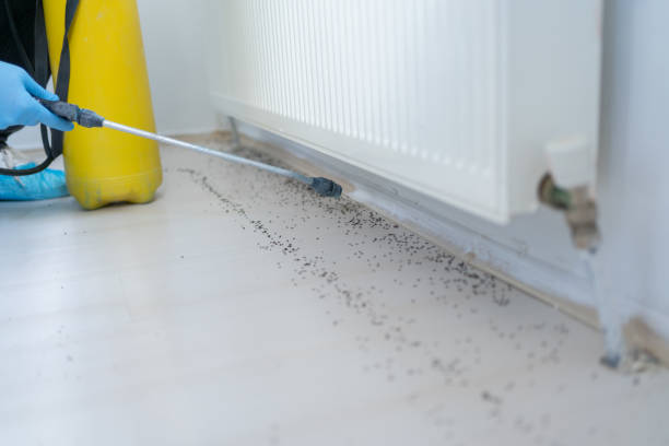 Best Mosquito Control Services  in Ojus, FL